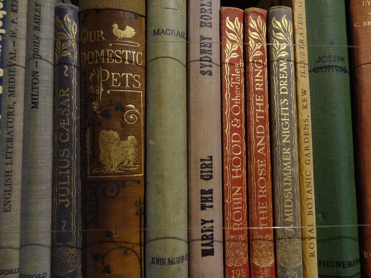 A photograph of antique books to demonstrate the literary scene and bookshops of York.
